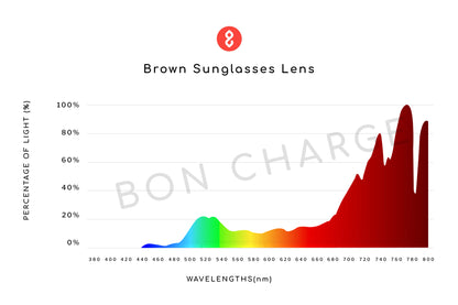 Morris Sunglasses Readers (Brown)