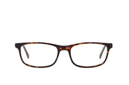 Tortoise Shell Computer Glasses Readers